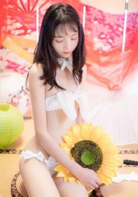 法国满天星《酒店服务生》